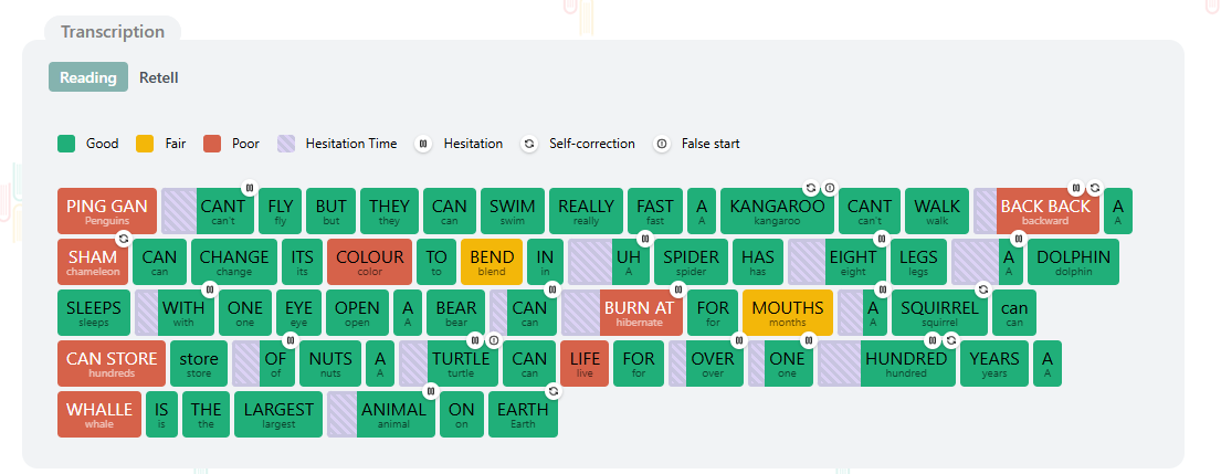 LiTerrific literacy assessment platform — color-coded phonics analysis